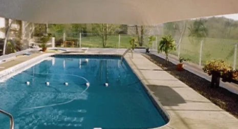 White rectangular pool dome - Inside view with plants beside the pool