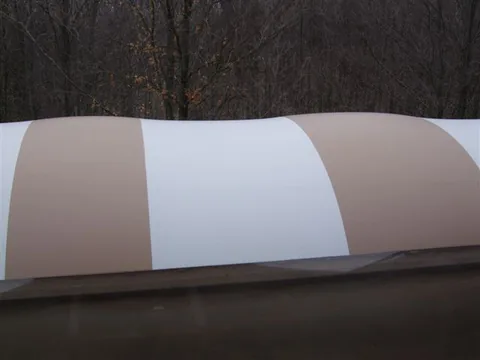 Tan and white top swimming pool dome
