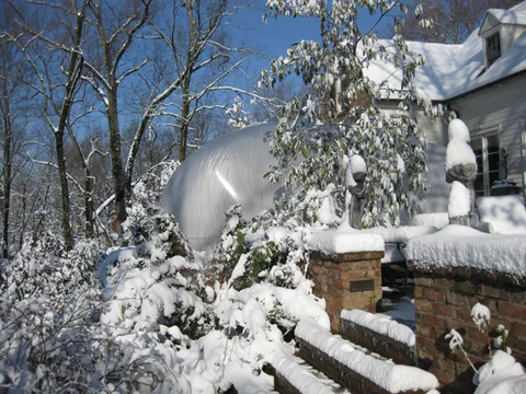 Clear-top swimming pool dome photo 2