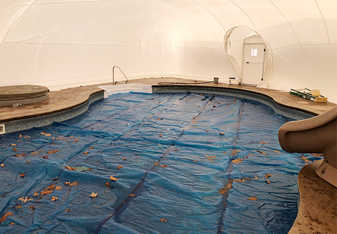 Interior view across a covered free-form pool beneath a white dome