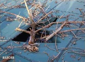 Fallen tree branches through a torn safety pool cover before repair