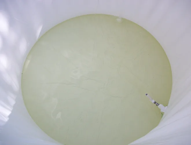 Water covering the liner floor