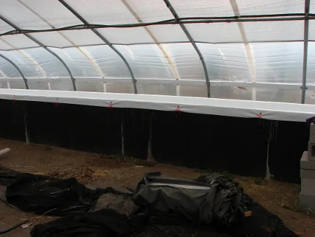 Hydroponic tank liner installed inside a greenhouse